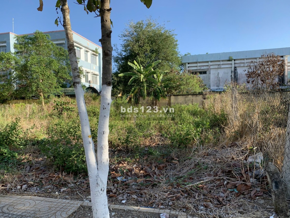 Bán đất thổ cư mặt tiền đường nhựa tại Thị Trấn Tân Hoà Gò Công Đông Tiền Giang, 90m2 sổ riêng