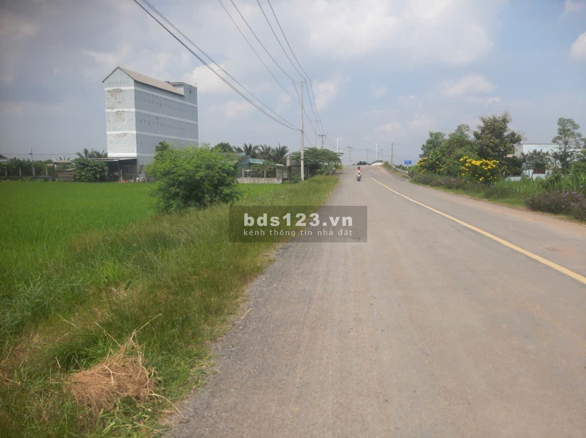 Bán gấp 4.170m2 đất MT đường tỉnh 872B, xã Long Bình, Gò Công Tây Tiền Giang. Có 2.000m2 thổ, 6,65tỷ