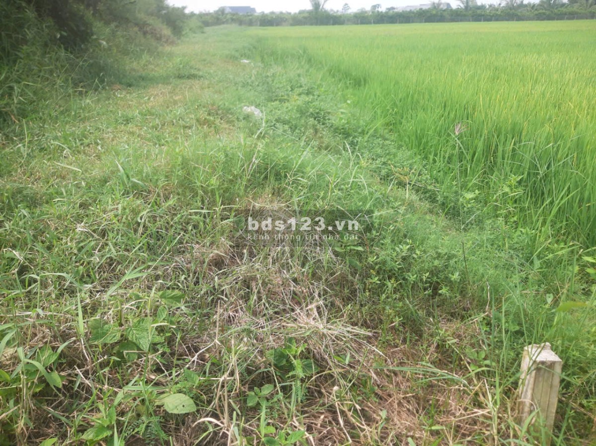 Bán gấp 4.170m2 đất MT đường tỉnh 872B, xã Long Bình, Gò Công Tây Tiền Giang. Có 2.000m2 thổ, 6,65tỷ