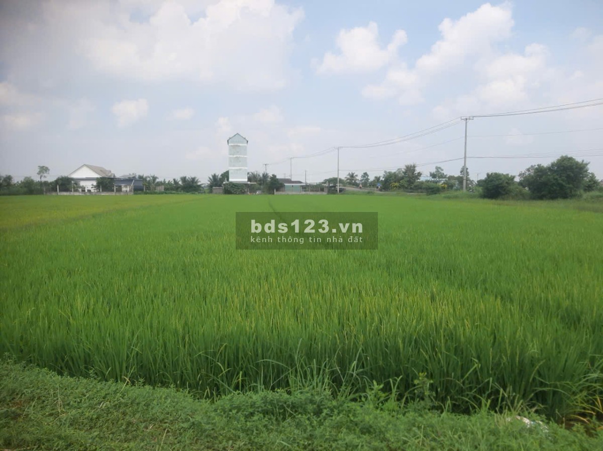 Bán gấp 4.170m2 đất MT đường tỉnh 872B, xã Long Bình, Gò Công Tây Tiền Giang. Có 2.000m2 thổ, 6,65tỷ