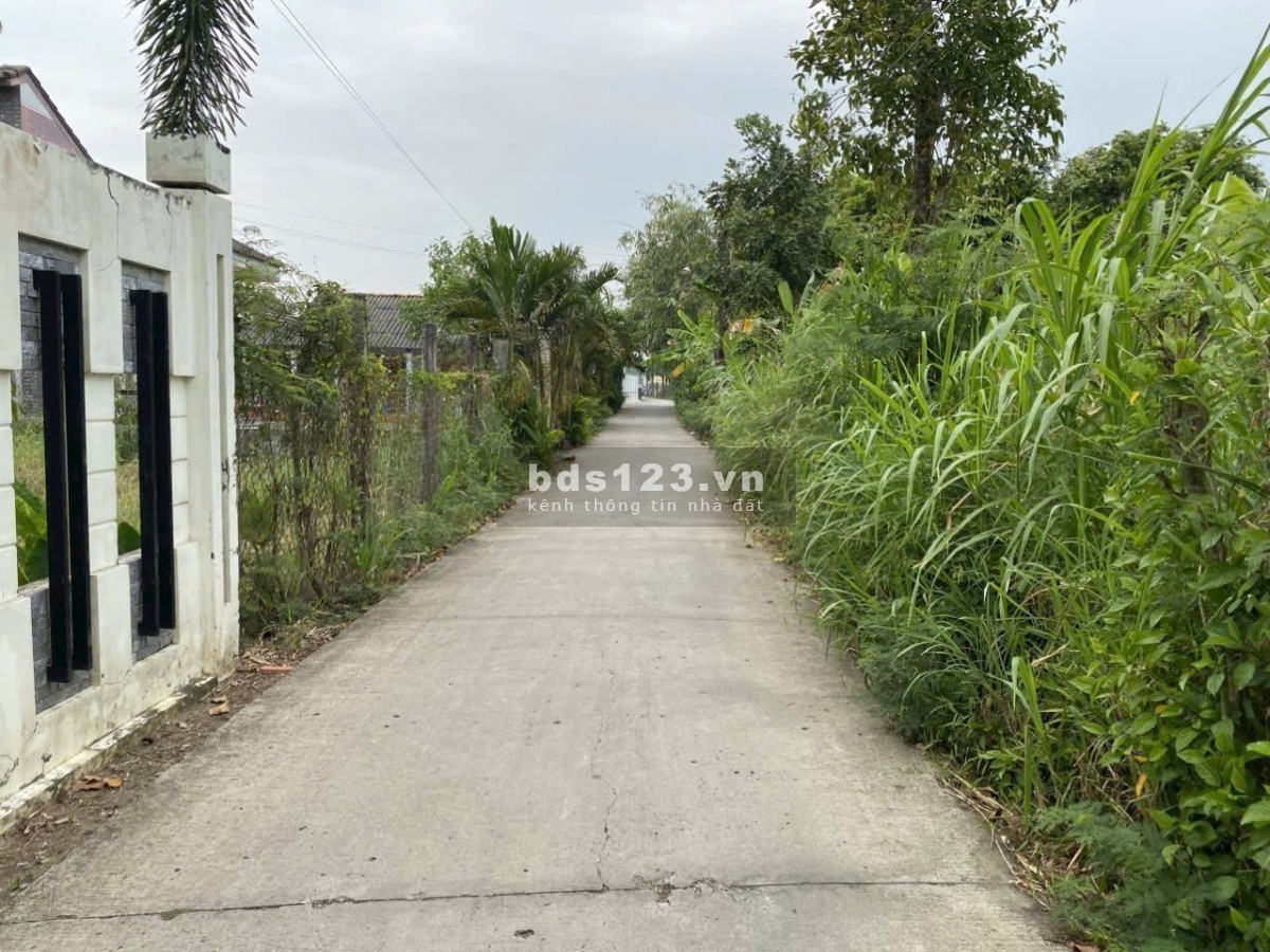 Bán 212m2 đất thổ cư đường Nguyễn Thìn, giáp ranh Thành Phố Gò Công, đã sổ rồi, 430tr thương lượng.