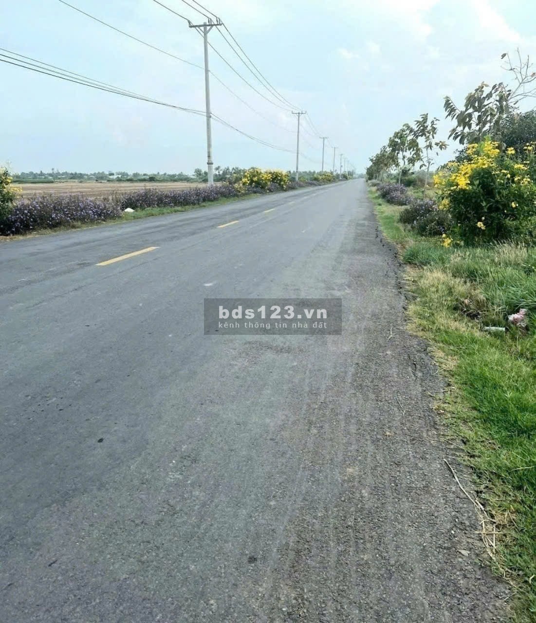 Bán gấp 4.170m2 đất MT đường tỉnh 872B, xã Long Bình, Gò Công Tây Tiền Giang. Có 2.000m2 thổ, 6,65tỷ