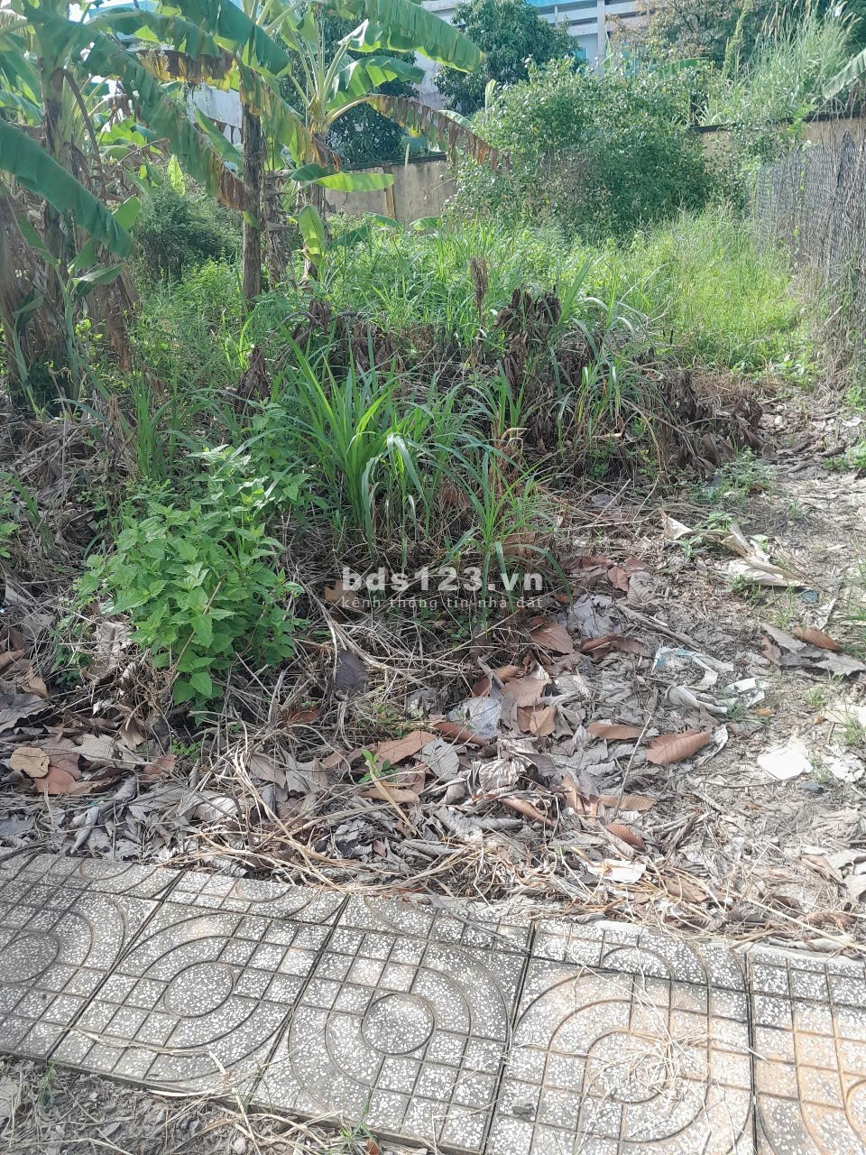 Bán đất thổ cư mặt tiền đường nhựa tại Thị Trấn Tân Hoà Gò Công Đông Tiền Giang, 90m2 sổ riêng