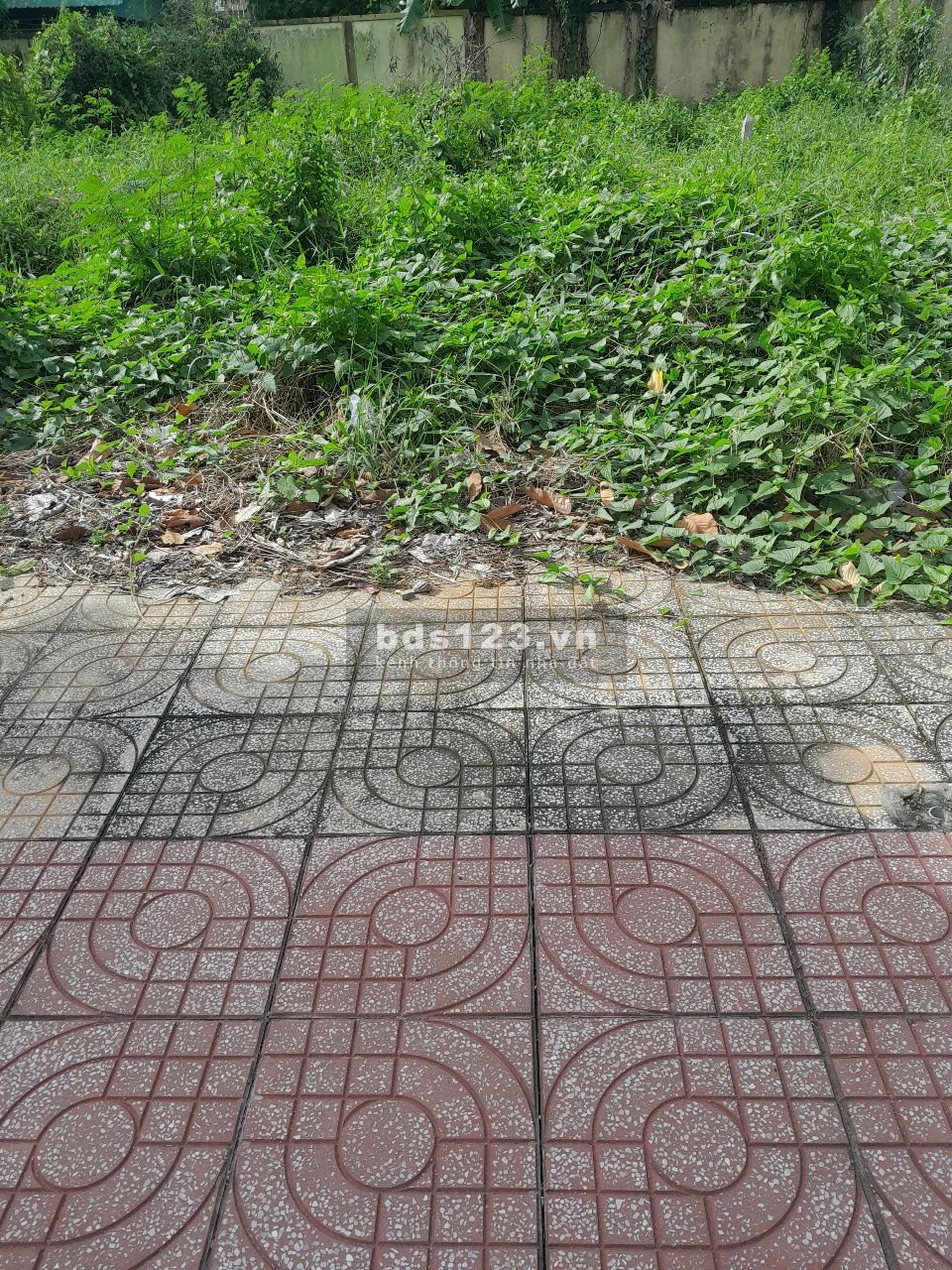Bán đất thổ cư mặt tiền đường nhựa tại Thị Trấn Tân Hoà Gò Công Đông Tiền Giang, 90m2 sổ riêng