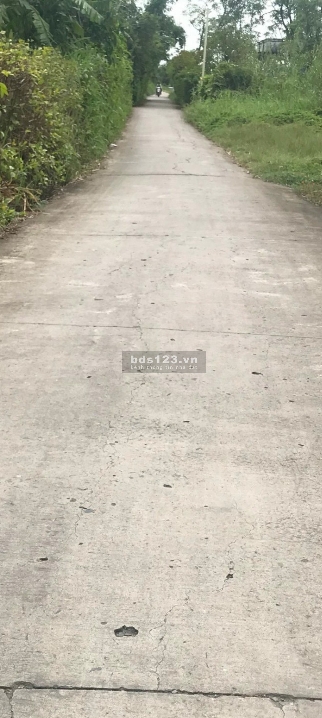 Bán 212m2 đất thổ cư đường Nguyễn Thìn, giáp ranh Thành Phố Gò Công, đã sổ rồi, 430tr thương lượng.