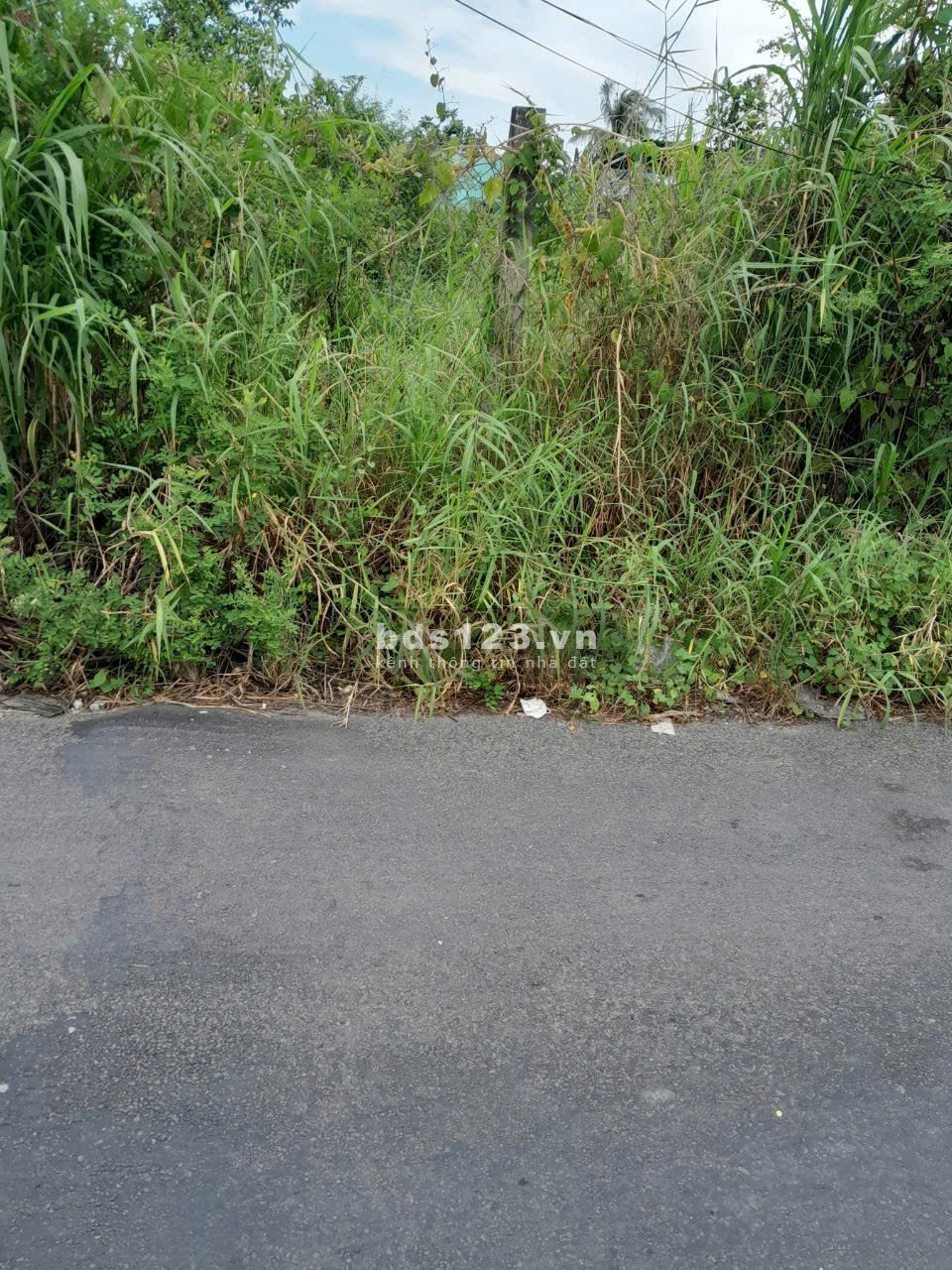 Đất thổ cư đường nhựa tại Thành Phố Gò Công. 123,6m2 nở hậu, 2 mặt tiền đường, sổ rồi, 660tr bớt