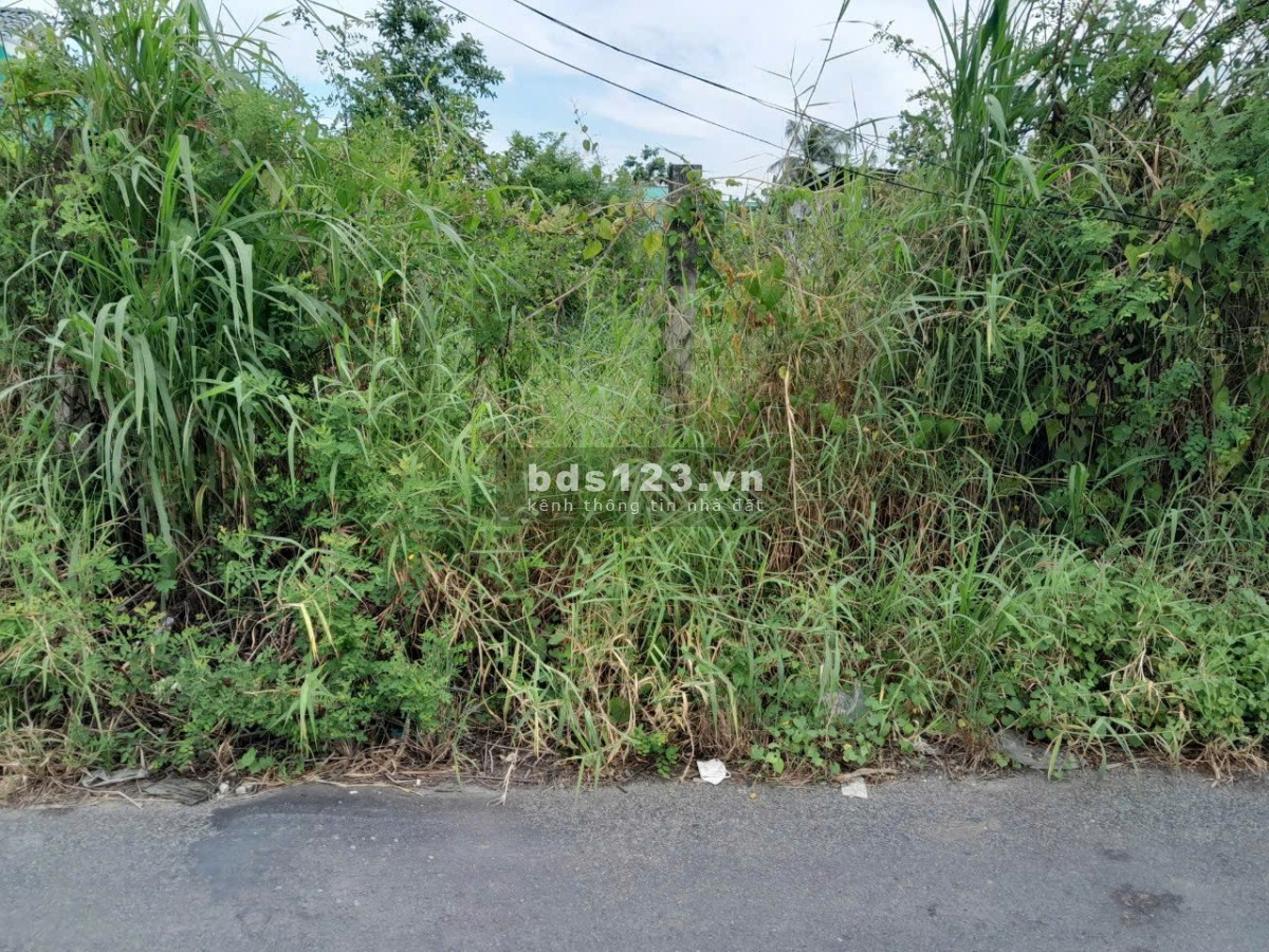 Đất thổ cư đường nhựa tại Thành Phố Gò Công. 123,6m2 nở hậu, 2 mặt tiền đường, sổ rồi, 660tr bớt