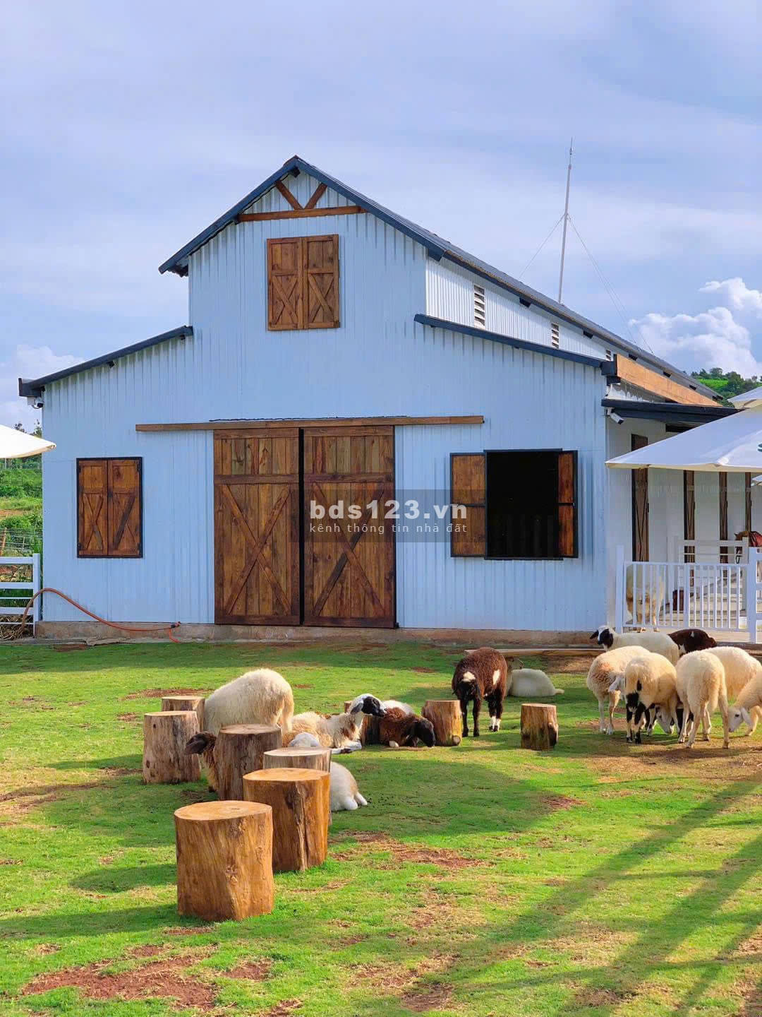 Đầu Tư Chuyển Nhượng Đất Sun Valley – Giá Tốt Nhất Thị Trường – 13 Triệu/m²
