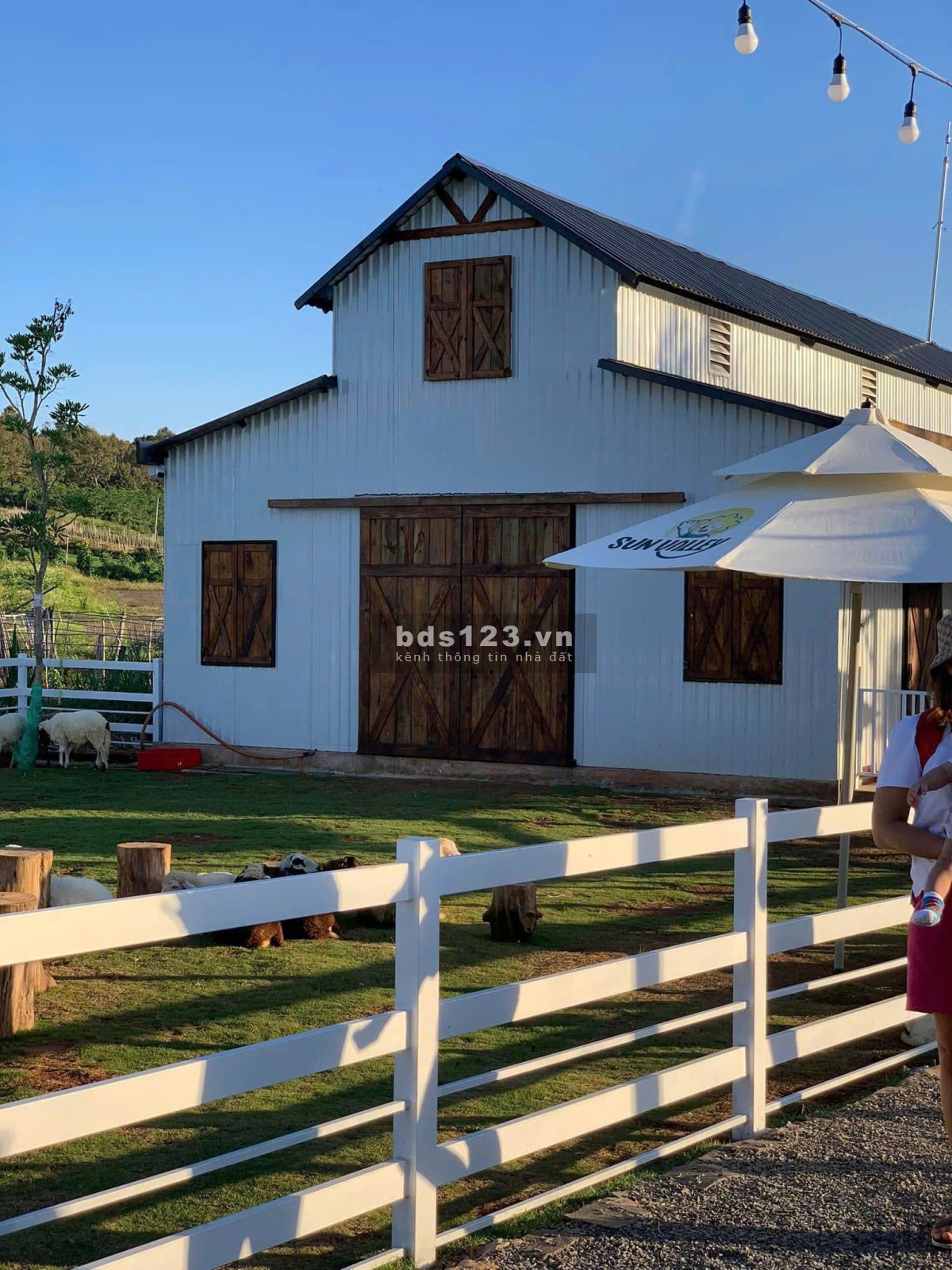 Sở Hữu Ngay Lô Đất Vàng Sun Valley – Giá Từ 13 Triệu/m²