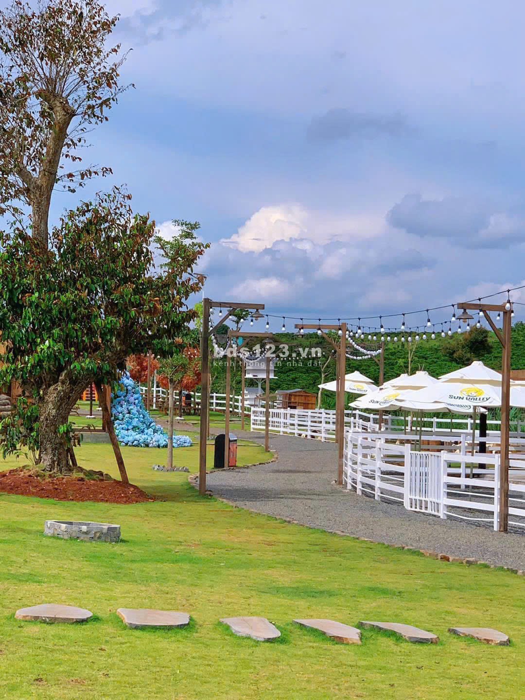 Đầu Tư Chuyển Nhượng Đất Sun Valley – Giá Tốt Nhất Thị Trường – 13 Triệu/m²