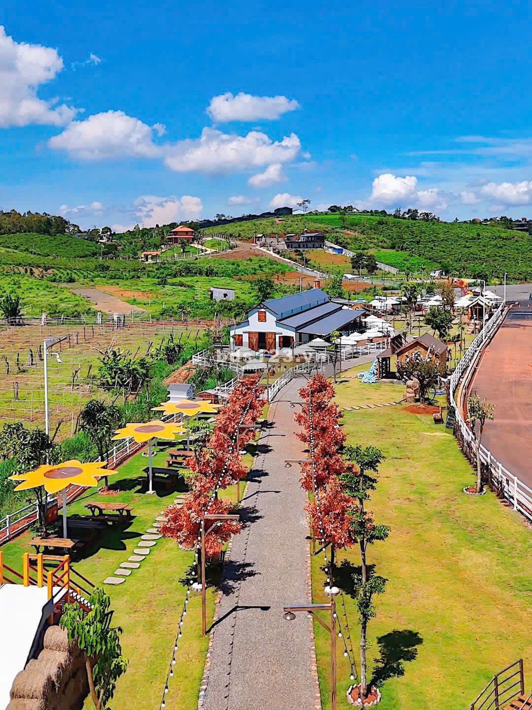 ️ Sun valley Bảo Lộc – Thung lũng ngọc ngà giữa đại ngàn xanh ️