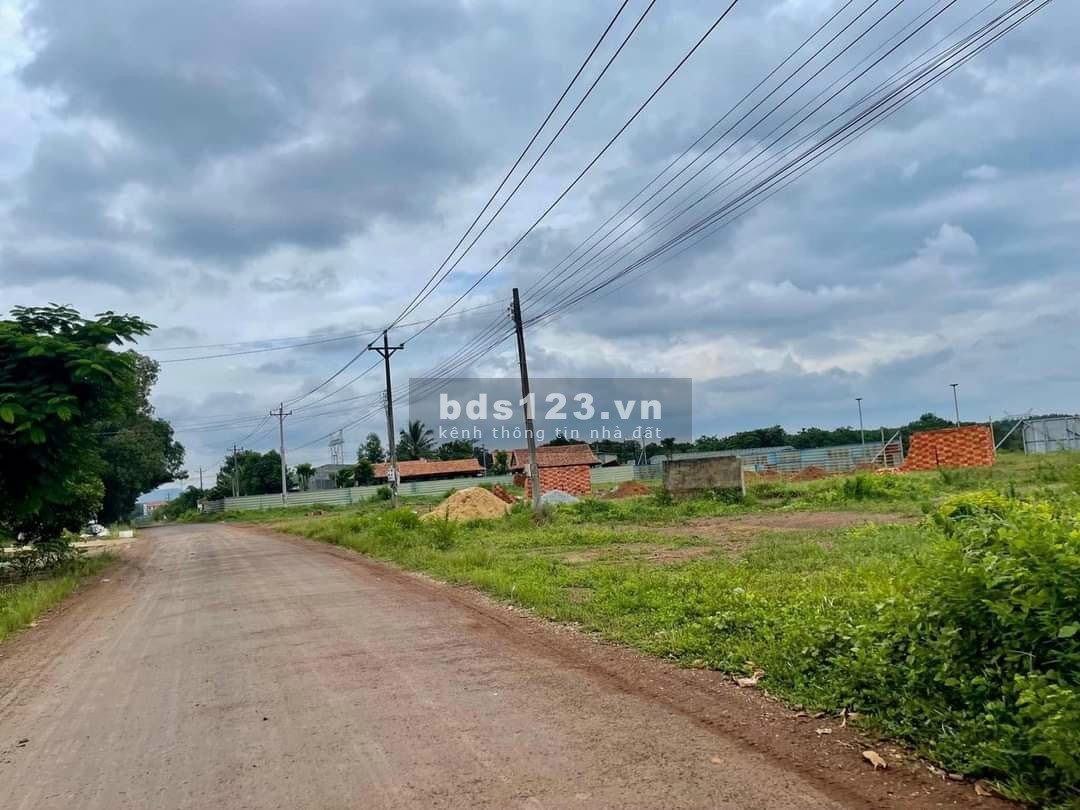 Bán 5 sào cao su (20x150=4.968m2) SHR, nở hậu 92m cách QL 200m giá 750tr, chợ trường