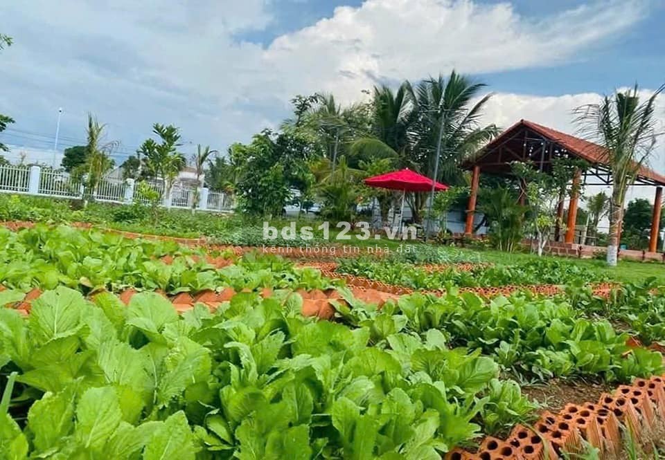 Bán 18x60=1.032m2 đất 2 mặt tiền, full SHR thổ cư, sát trường 1,2,3 chợ (KCN 30/4) tổng 590tr