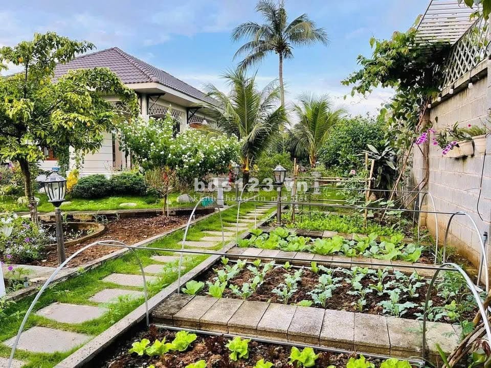Bán 18x60=1.032m2 đất 2 mặt tiền, full SHR thổ cư, sát trường 1,2,3 chợ (KCN 30/4) tổng 590tr