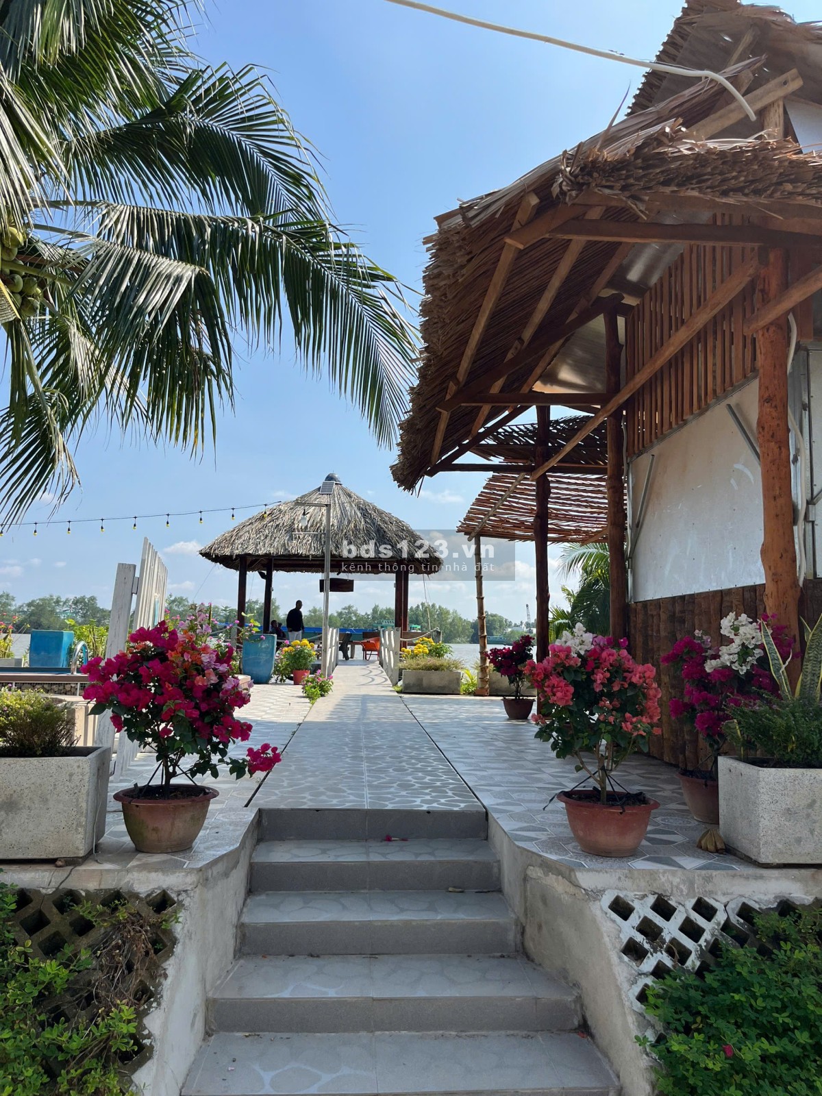 Chính chủ cần bán homestay ở Cồn Phụng - Giá 12 tỉ