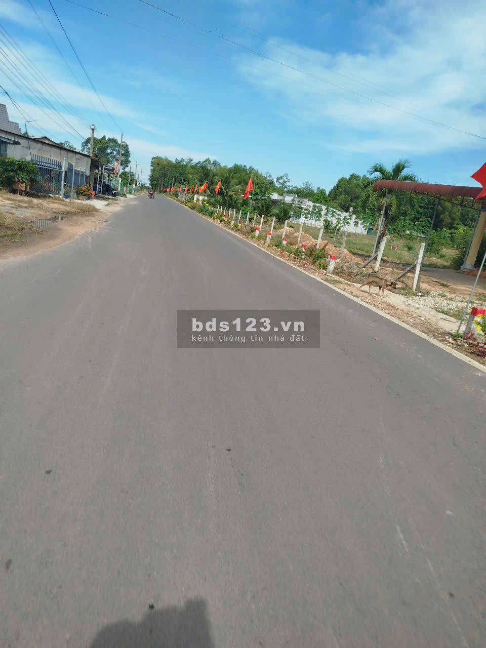 Nhanh tay lô đất rẻ ECOCITY DẦU TIẾNG (Thế giới Đất Việt) ĐT.744, Định An, Dầu Tiếng, Bình Dương.