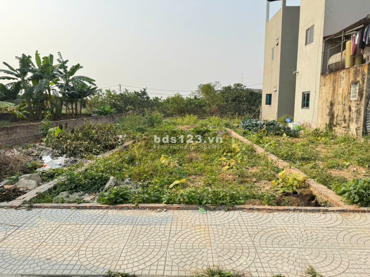 Bán đất đẹp tại tổ 9, TT Quang Minh, Mê Linh, Hà Nội, gần trường CD. DT 96m2, giá 3,65 tỷ