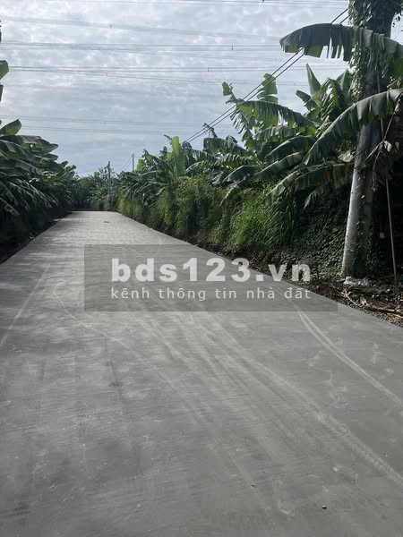 [Bán Gấp] Đất Vườn 1000m² Huyện Thống Nhất, Đồng Nai