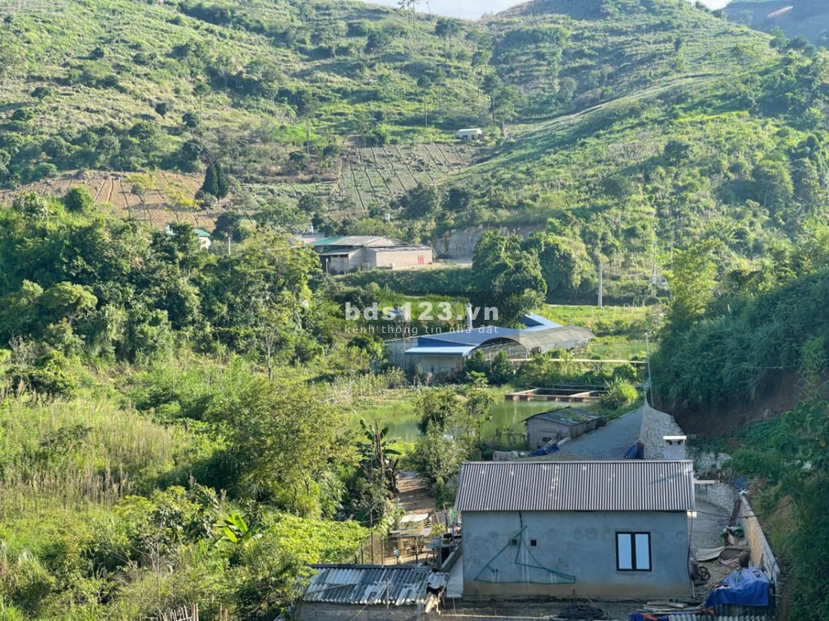 Siêu phẩm đất nghỉ dưỡng 1,2ha trung tâm ttnt Mộc Châu – View đồi chè tuyệt đẹp, độc nhất thị trường
