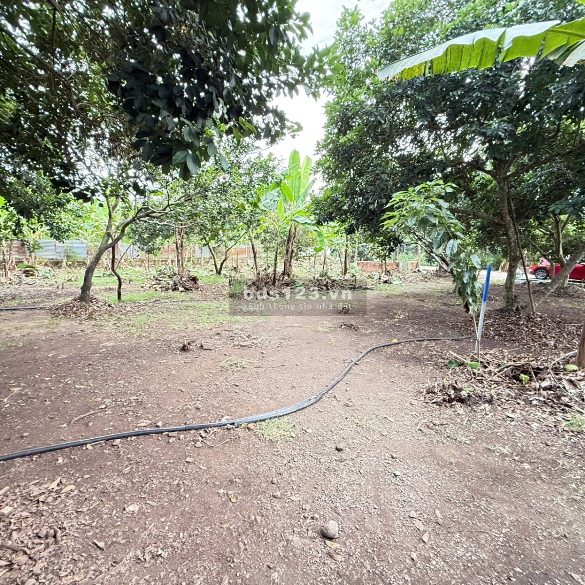 [Bán Gấp] Đất Vườn 1000m² Huyện Thống Nhất, Đồng Nai