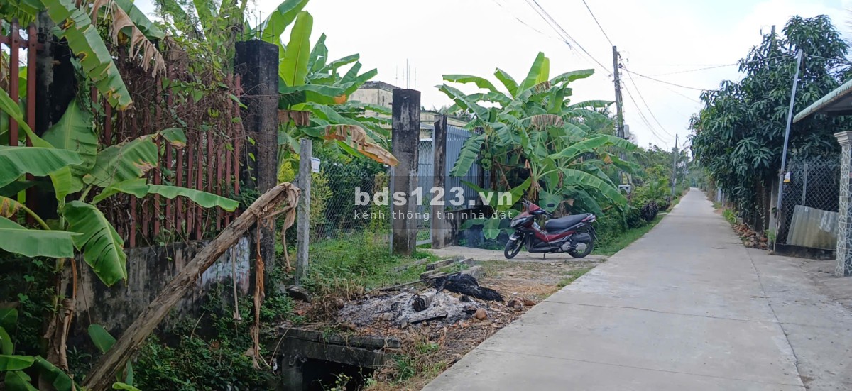 LÔ đất “HOA HẬU” xã Long Bình Điền giáp ranh Tân Mỹ Chánh, Mỹ Tho. Gần QL50.