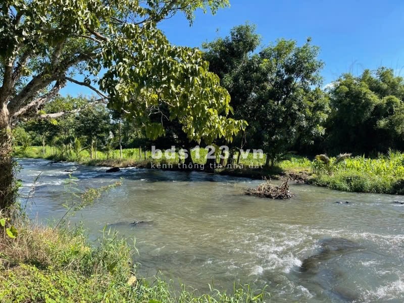 Bán 6 sổ góc (30x45m=1.150m²) có 600m2 thổ cư lộ 22m gần trường chợ, đúng 225 tr không phát sinh