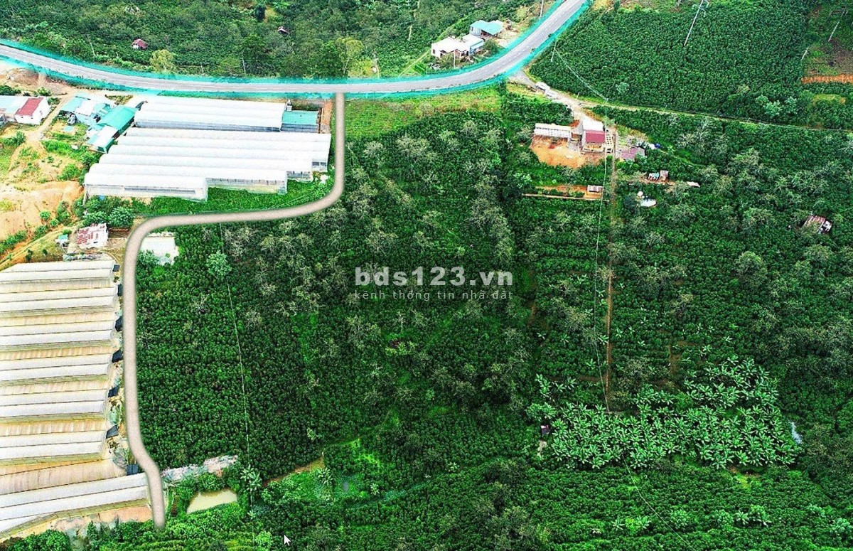 Cần tiền bán 1.1Ha lô đất Xuân Trường MT Quốc Lộ 20 cách chợ Đà Lạt 17KM. Giá 35tỷ giảm còn 19.8 tỷ
