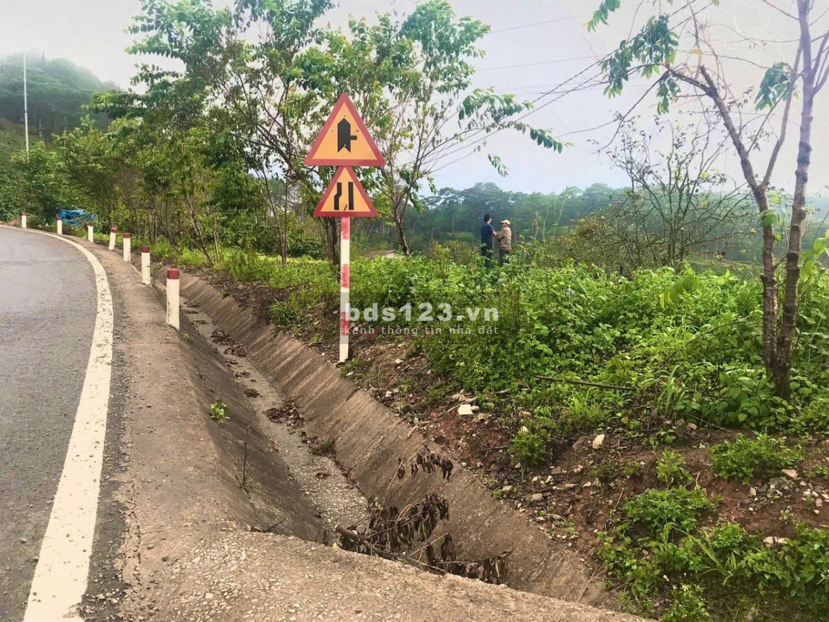 Cần tiền bán 1.1Ha lô đất Xuân Trường MT Quốc Lộ 20 cách chợ Đà Lạt 17KM. Giá 35tỷ giảm còn 19.8 tỷ