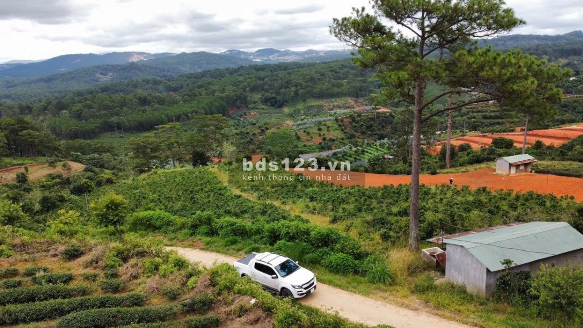 HÀNG HOT!!! Nhiều lô 1 sào đất bằng view rừng thông săn mây cực phẩm tại Tp. Đà Lạt vừa mới ra lò!!!