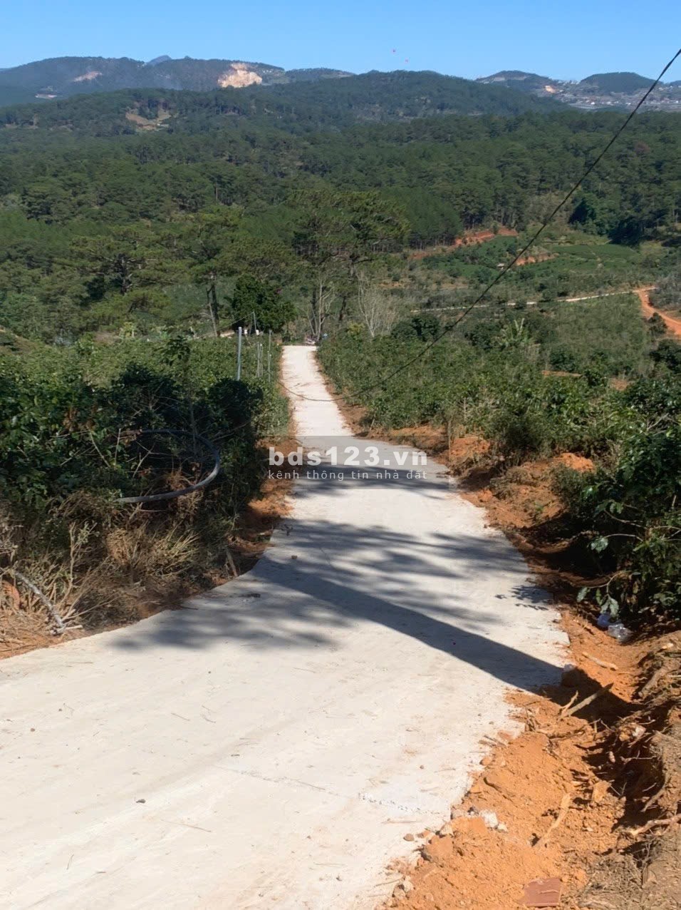HÀNG HOT!!! Nhiều lô 1 sào đất bằng view rừng thông săn mây cực phẩm tại Tp. Đà Lạt vừa mới ra lò!!!