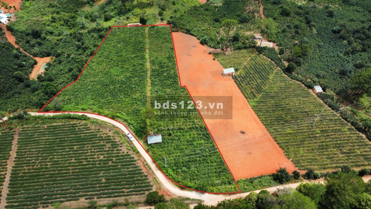 HÀNG HOT!!! Nhiều lô 1 sào đất bằng view rừng thông săn mây cực phẩm tại Tp. Đà Lạt vừa mới ra lò!!!