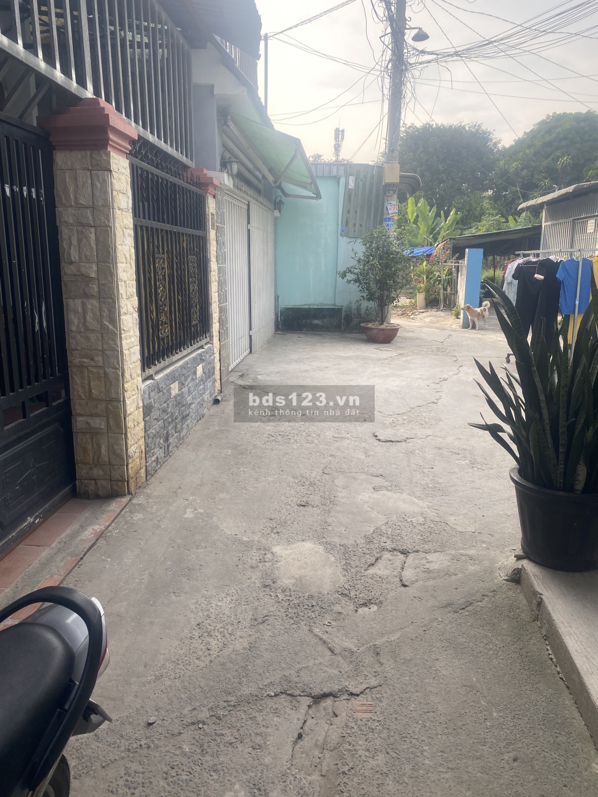 Chính chủ bán gấp nhà cấp 4 gần chợ Hóc Môn, DT: 5,2x15m. Giá 1,78 tỷ