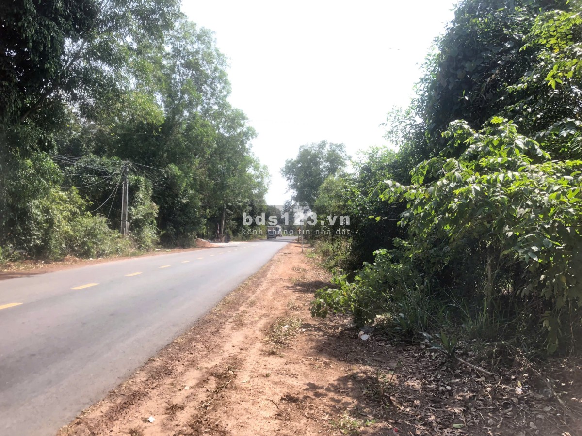 Bán đất MT đường DT748 TP.Bến Cát, Bình Dương, DT khủng 2,4HA, ngang 115m, Q.hoạch mở đường 52m, SH