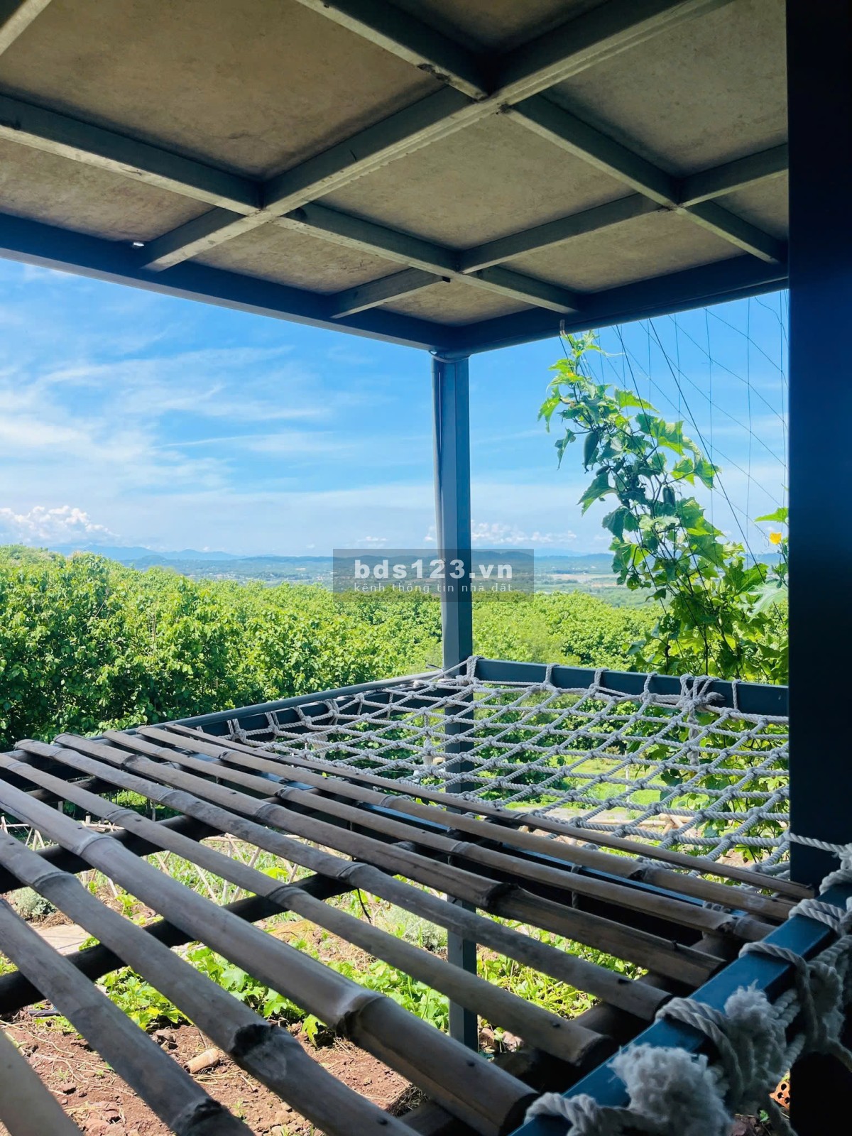 Lô đất đồi view xịn nhìn ra hồ - view Thành phố về đêm - ngay khu dân cư đông đúc - Chợ Trường -