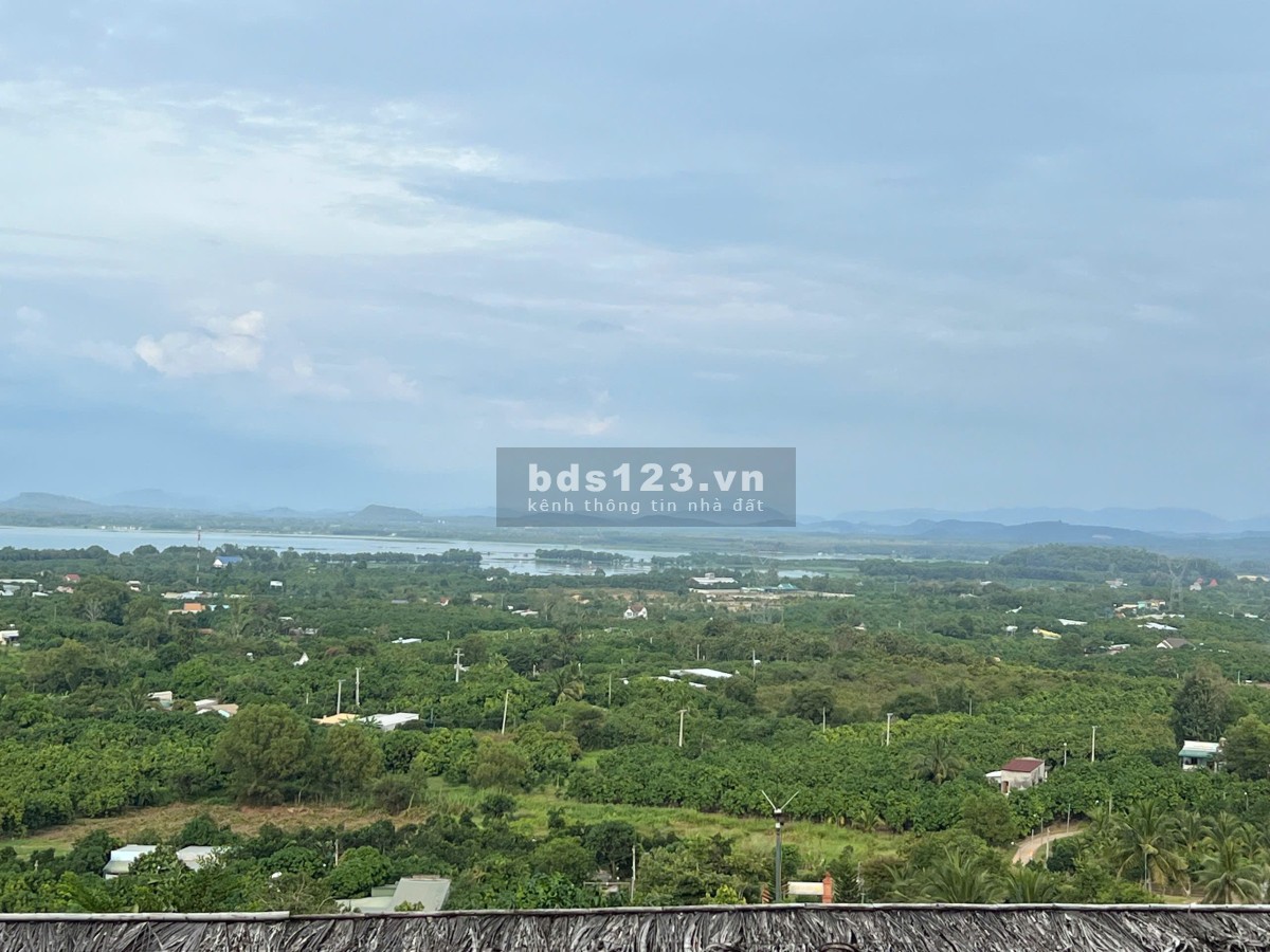Lô đất đồi view xịn nhìn ra hồ - view Thành phố về đêm - ngay khu dân cư đông đúc - Chợ Trường -