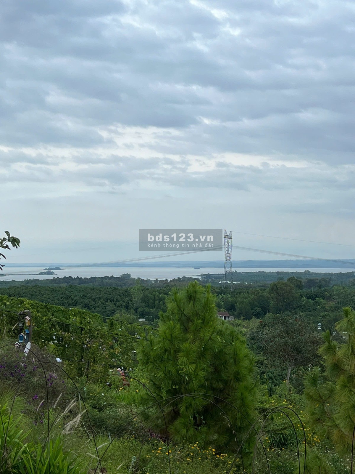 Lô đất đồi view xịn nhìn ra hồ - view Thành phố về đêm - ngay khu dân cư đông đúc - Chợ Trường -