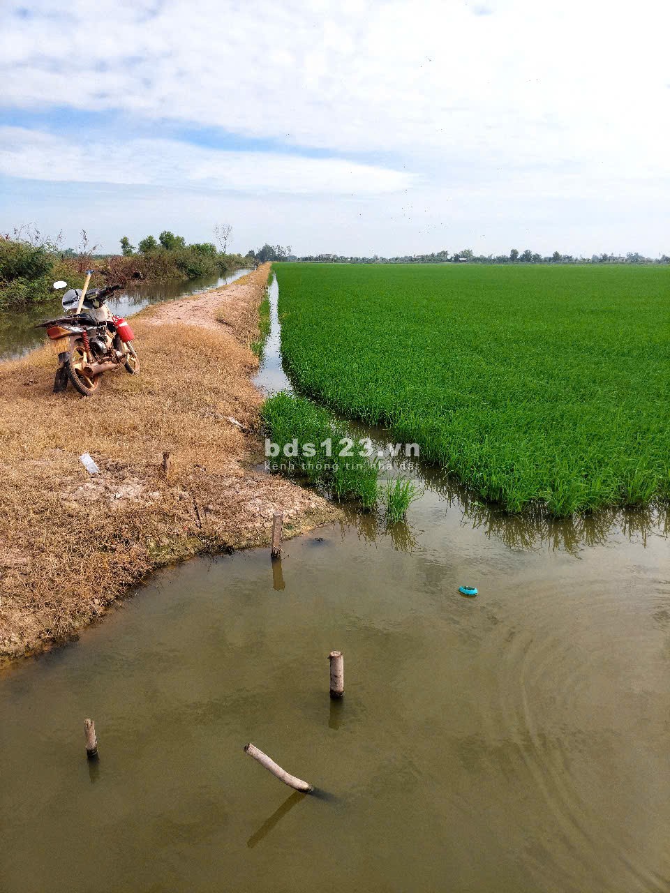Cần bán gấp 4,5 ha đất tại xã Vĩnh Bình, Huyện Vĩnh Hưng