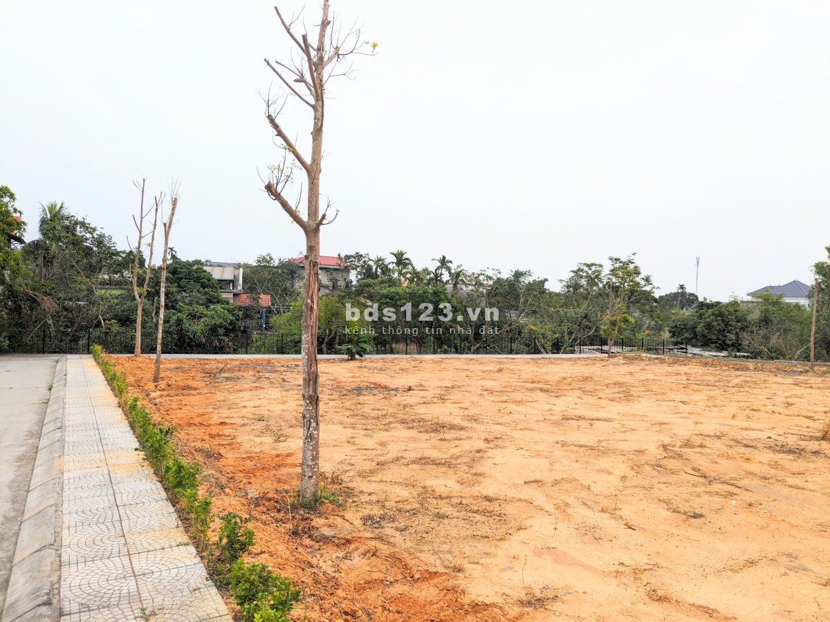 Cơ hội đầu tư Đông Triều lên TP. Giá chỉ từ 350 triệu, pháp lý chuẩn, sinh lời cao!