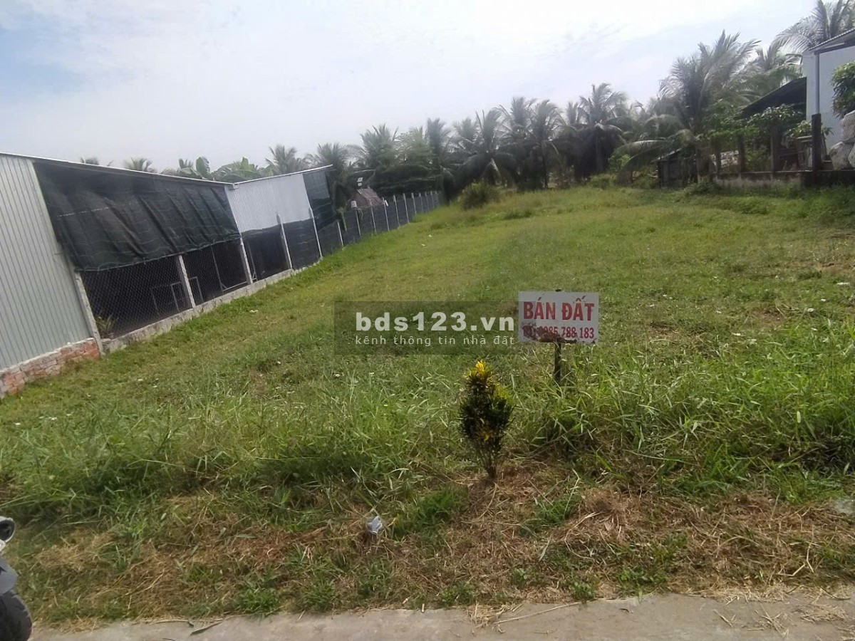Bán đất tại Xã Quới Điền, Thạnh Phú, Bến Tre, 2 tỷ, 846.4m2, thoáng mát thích hợp nghỉ dưỡng
