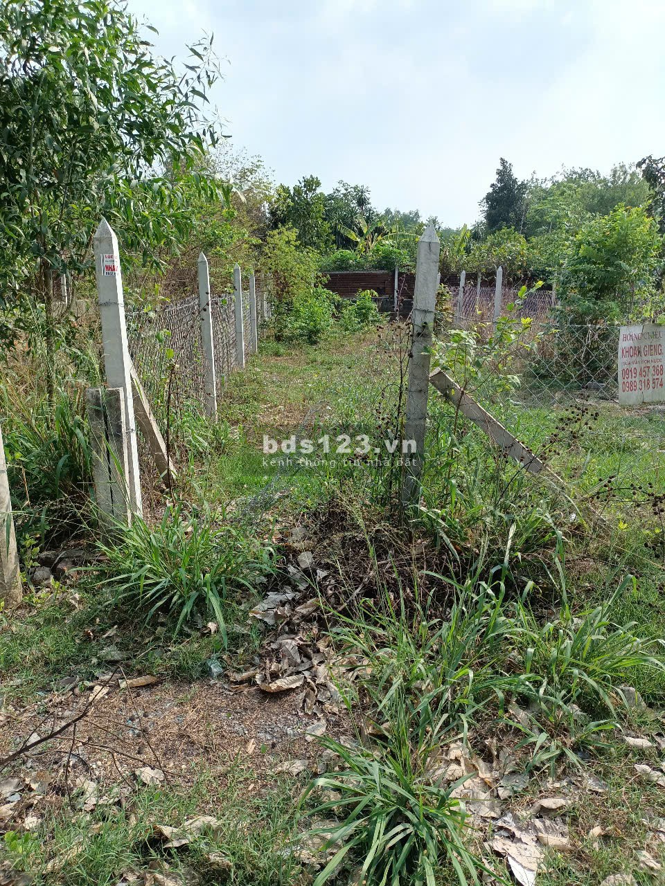 Đất sổ hồng full thổ cư, 107m2 đường Nguyễn Thị Nê (THƯƠNG LƯỢNG)