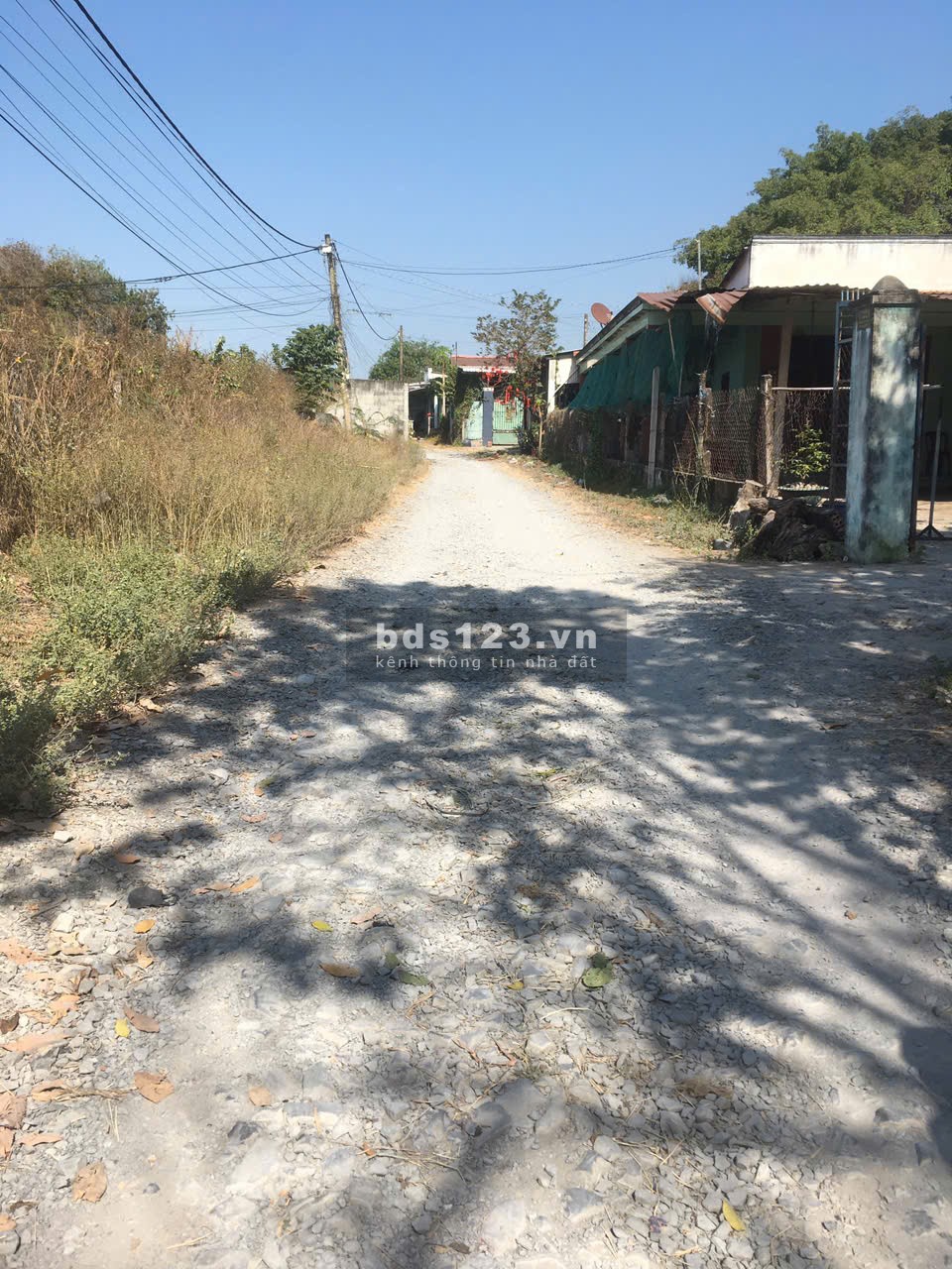 Đất sổ hồng full thổ cư, 107m2 đường Nguyễn Thị Nê (THƯƠNG LƯỢNG)