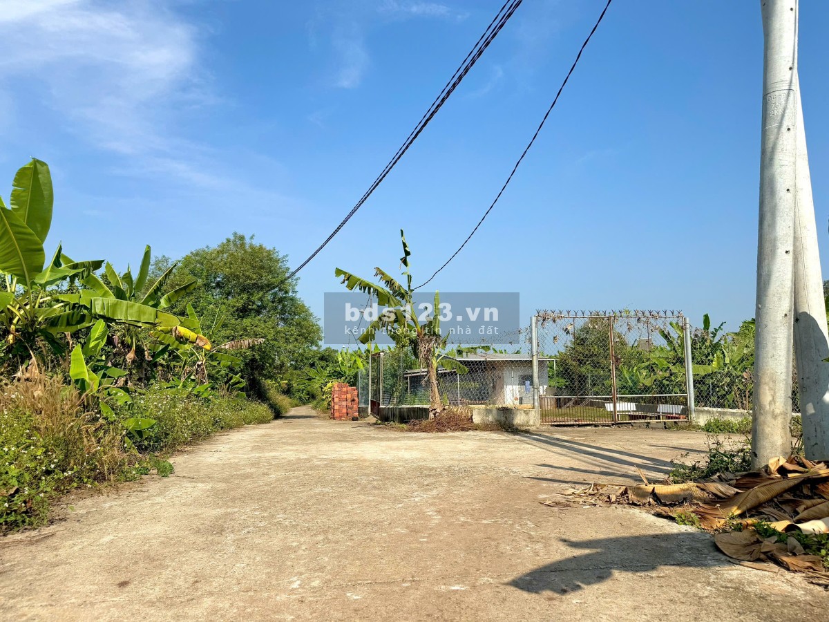 Kẹt tiền bán gấp vườn cây ăn trái 1000m2 cách Long Khánh chỉ 500m - gần TPHCM chỉ 50p di chuyển