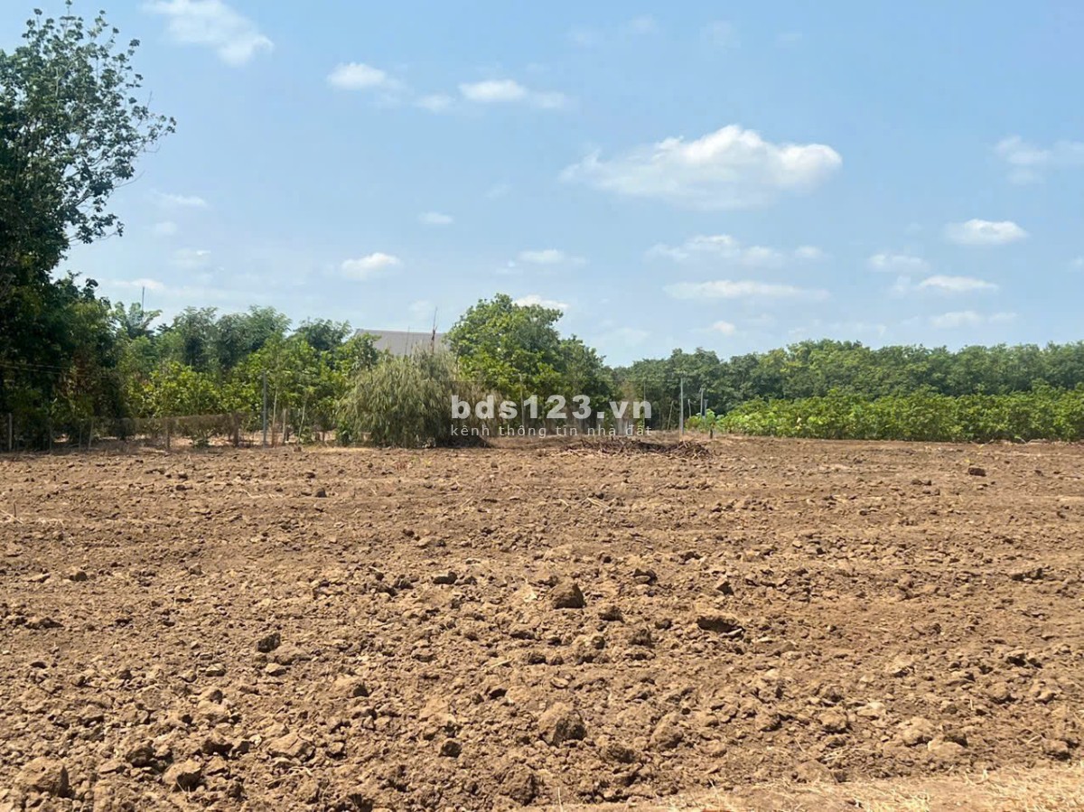 Cần bán nền đất đường nhựa giá rẻ - Ngay trung tâm chợ