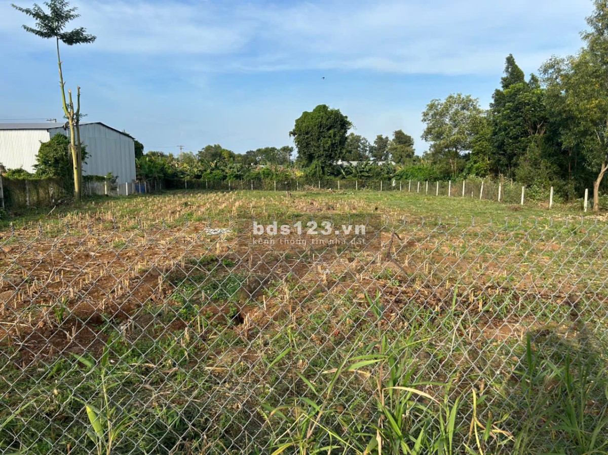 Chính chủ cần bán 2000m2 (300m2 thổ cư) mặt tiền 30m nở hậu mặt tiền đường nhựa cách DT762 200m