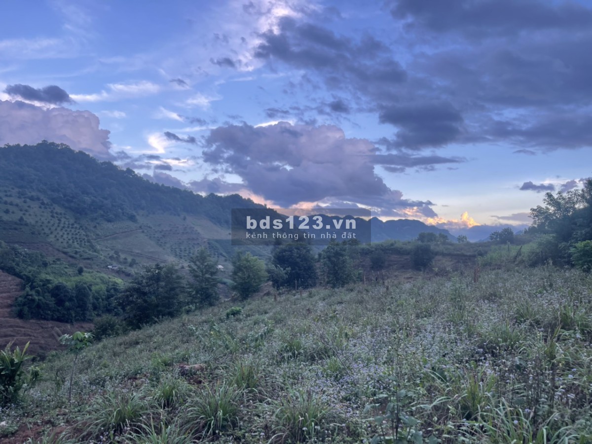 Đầu tư vào đây chứ đâu - View đẹp, gần thác Dải Yếm, sát QL43 - Đầu tư sinh lời cao!