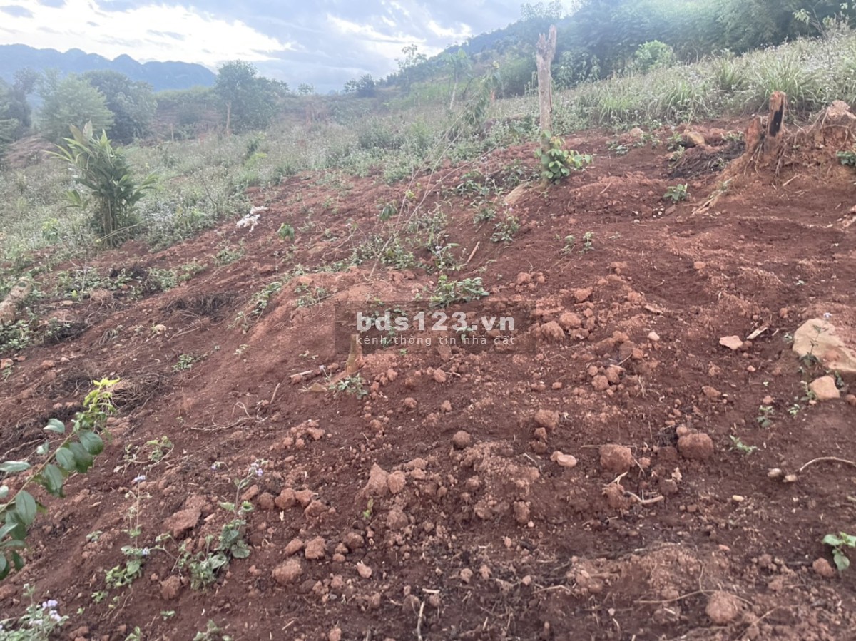 Đầu tư vào đây chứ đâu - View đẹp, gần thác Dải Yếm, sát QL43 - Đầu tư sinh lời cao!