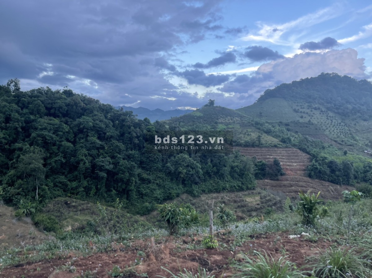 Đầu tư vào đây chứ đâu - View đẹp, gần thác Dải Yếm, sát QL43 - Đầu tư sinh lời cao!