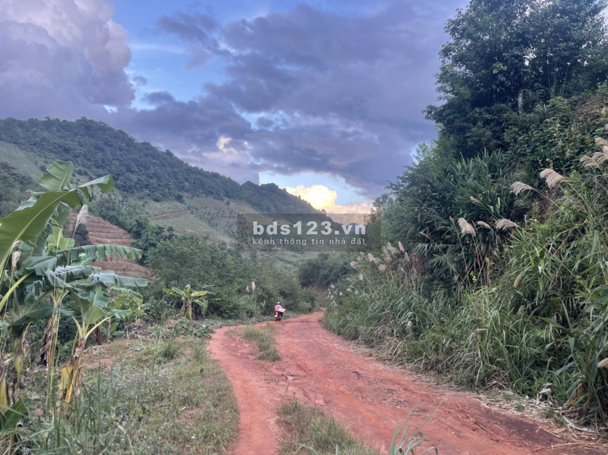 Đầu tư vào đây chứ đâu - View đẹp, gần thác Dải Yếm, sát QL43 - Đầu tư sinh lời cao!