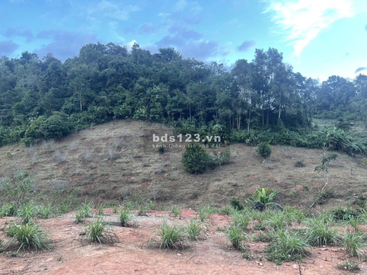 Đầu tư vào đây chứ đâu - View đẹp, gần thác Dải Yếm, sát QL43 - Đầu tư sinh lời cao!
