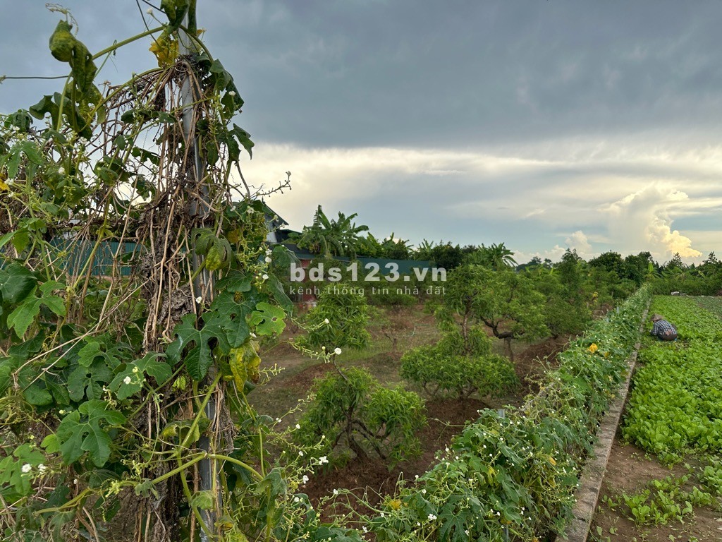 Bán Đất Trúc Sơn - Chương Mỹ, Đất rộng mênh mông, giá rẻ bất ngờ, 1307m2, giá dưới 5 tỷ